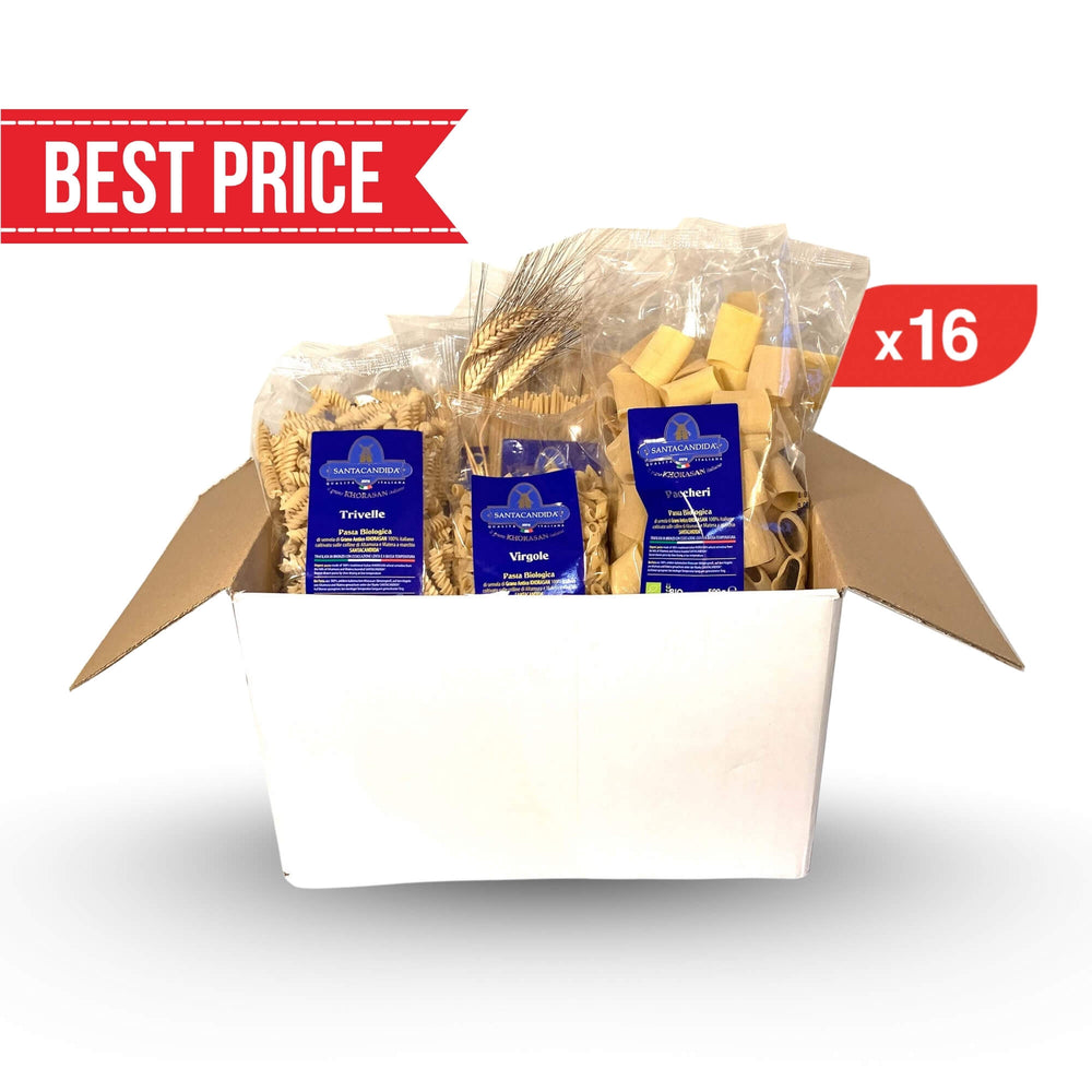 Santa Classics BIG | 8kg