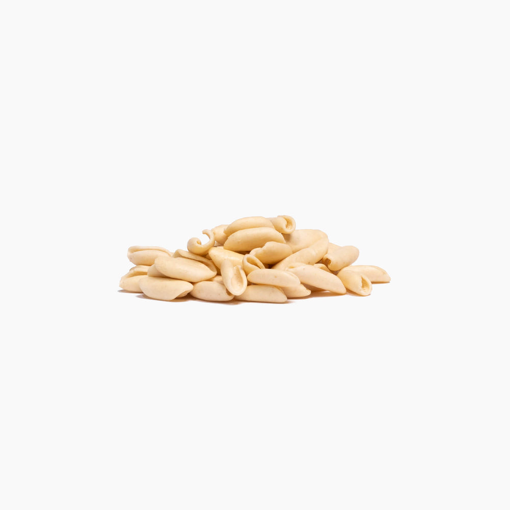 
                      
                        CAVATELLI bio di grano antico Khorasan | 500g
                      
                    